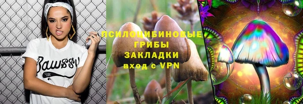 таблы Козловка