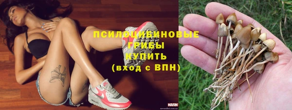 прущая мука Козельск