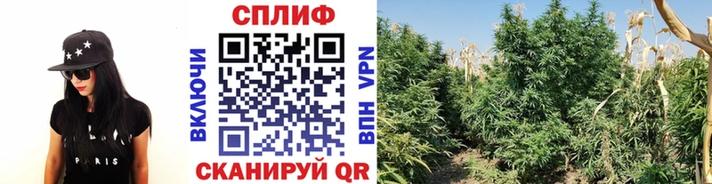 Купить  Новоульяновск  Бошки Шишки тримм 